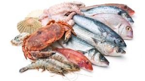 seafood