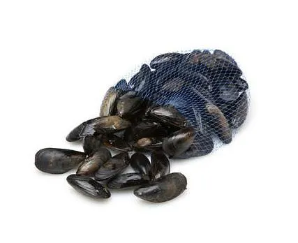 mussel-meat