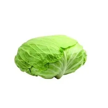 fresh-korean-cabbage
