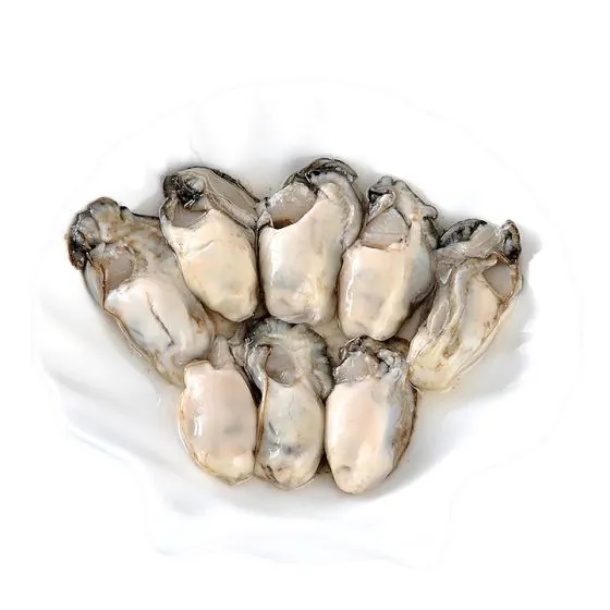 shellfish-oysters