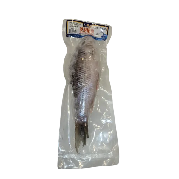 mud-carp