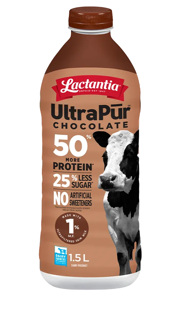 lactantia-chocolate-milk-1