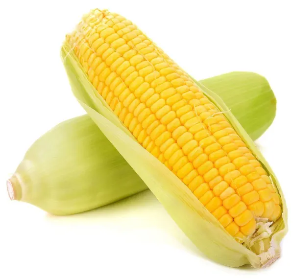 data-golden-corn-boxed