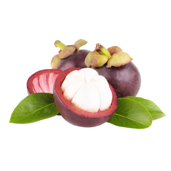 mangosteen