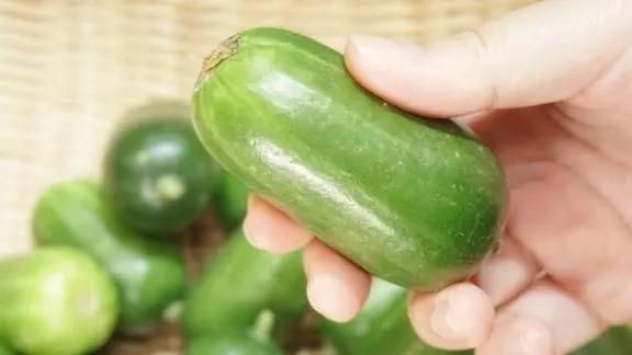 mini-cucumber-bag