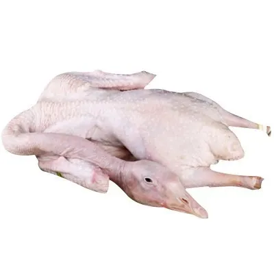 free-run-goose