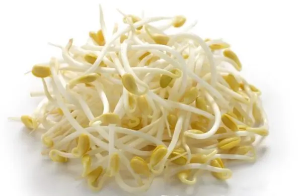 fresh-soy-bean-sprout-bag