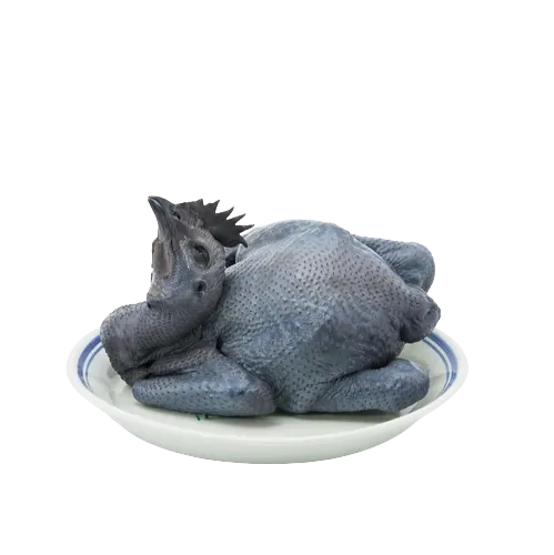 fresh-silky-chicken