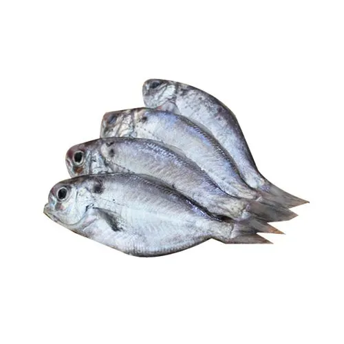 butter-fish