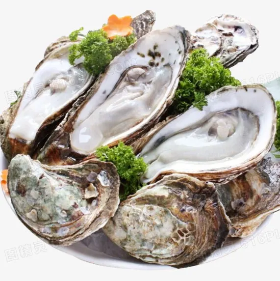 data-fresh-shelled-oysters-open-shell-by-default