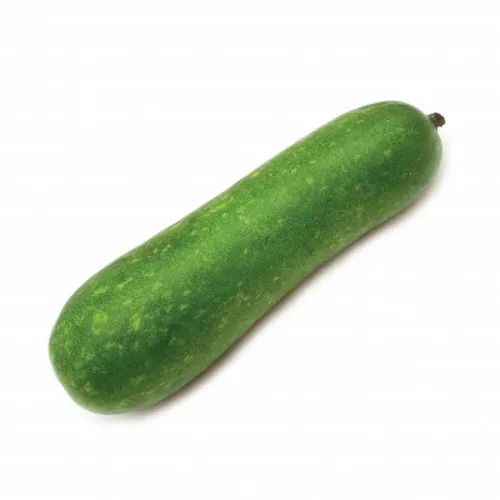 fuzzy-squashfuzzy-melon
