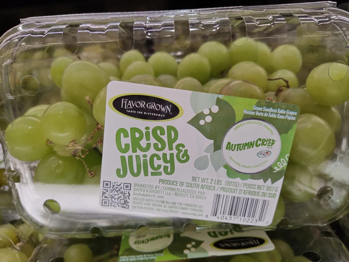 crisp-juicy-green-seedless-table-grapes