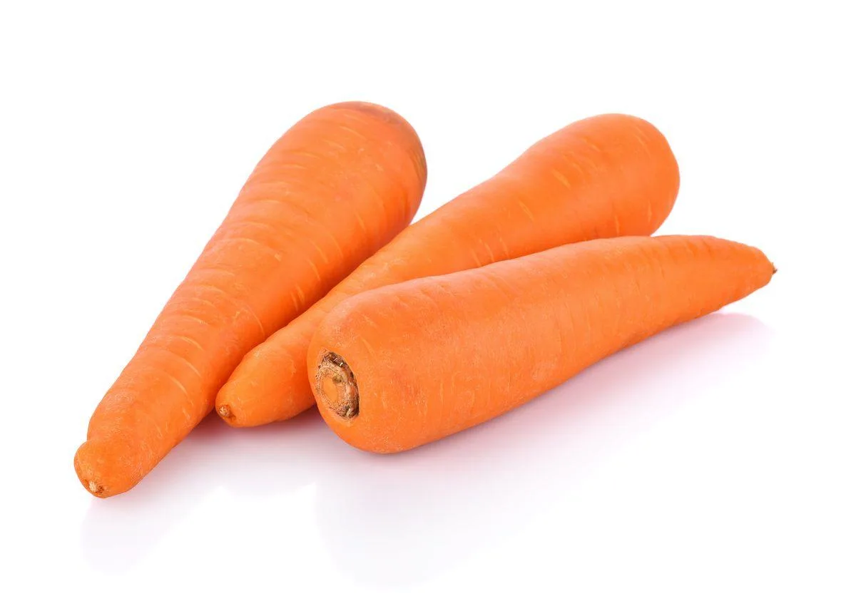 carrot-1pc