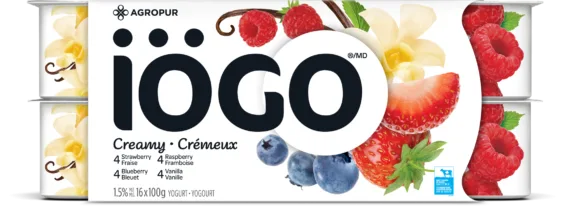 iogo-strawberryblueberryraspberryvanilla-yogurt