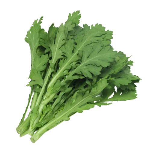 tong-ho-choy-bag