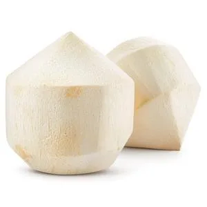 young-coconut