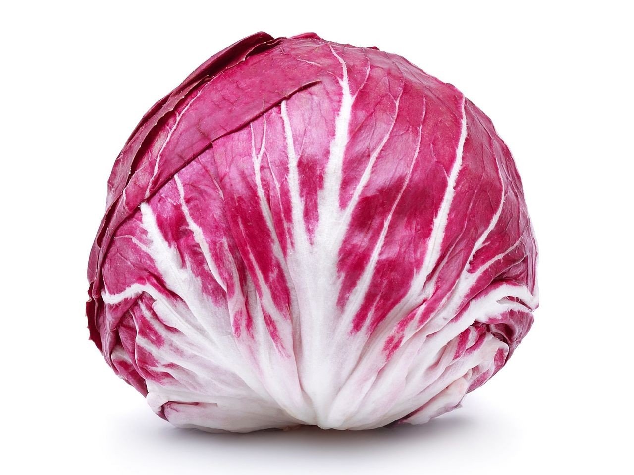 radicchio-pack