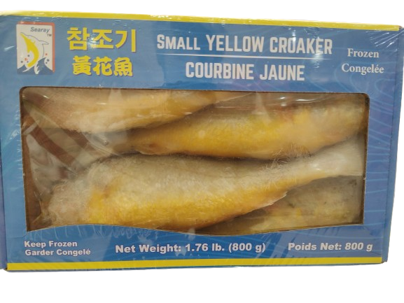 searay-small-yellow-croaker