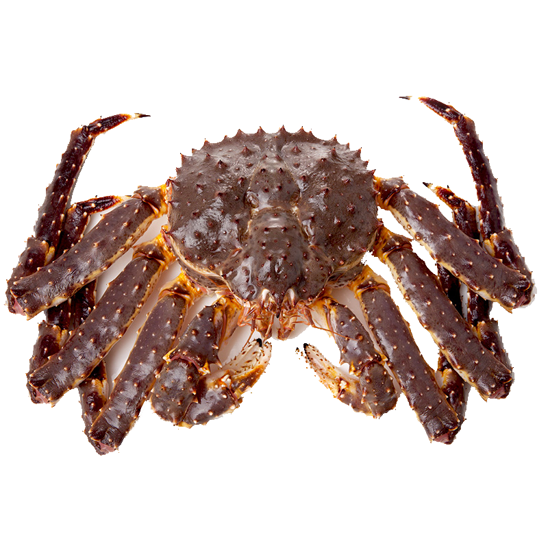 live-king-crab-per-lb