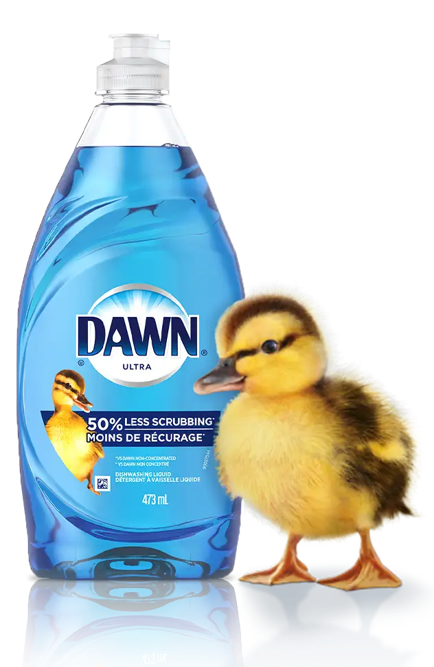 dawn-dishwashing-liquid-50-scrubbing