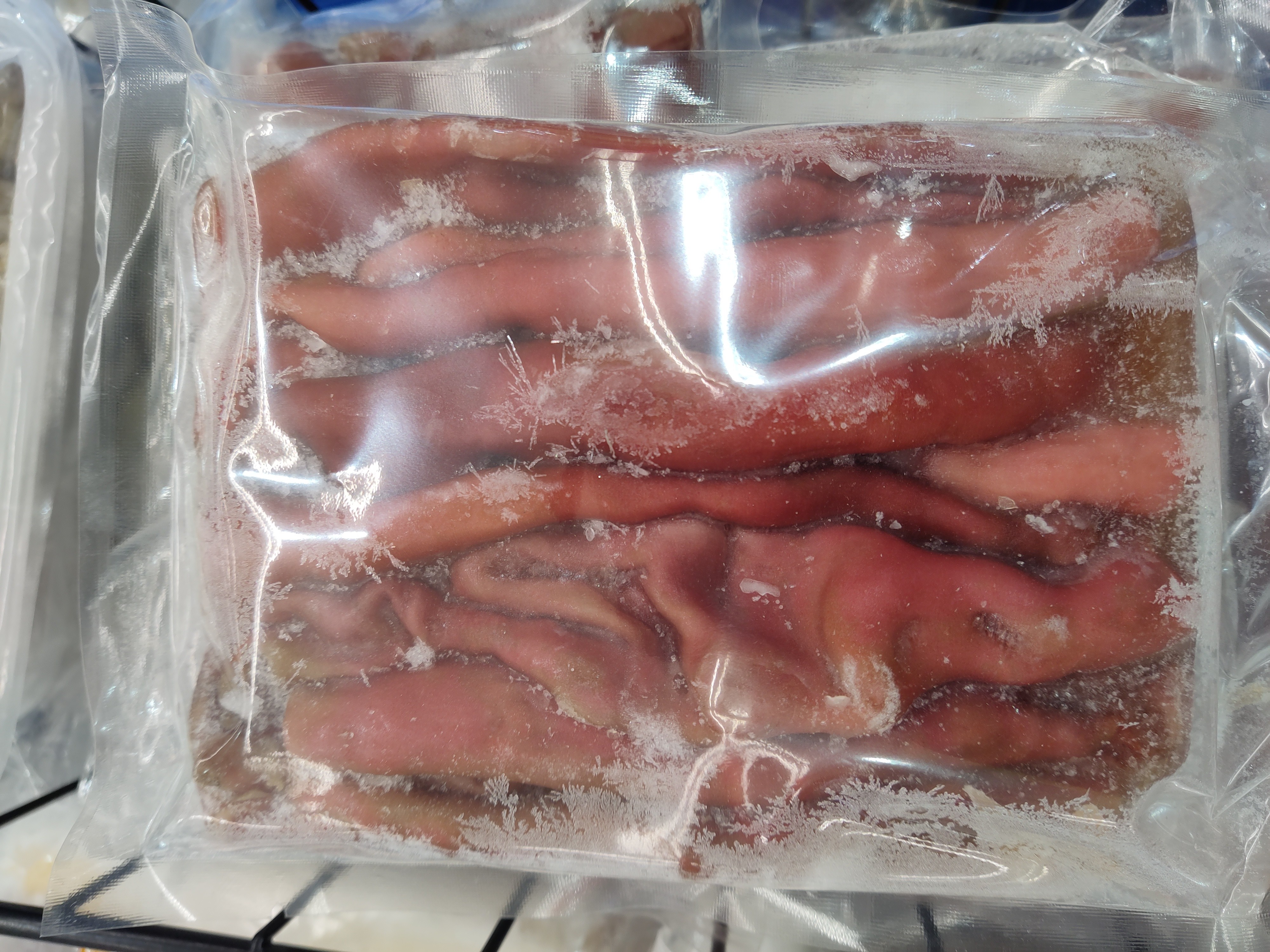 frozen-urechis-unicinctus