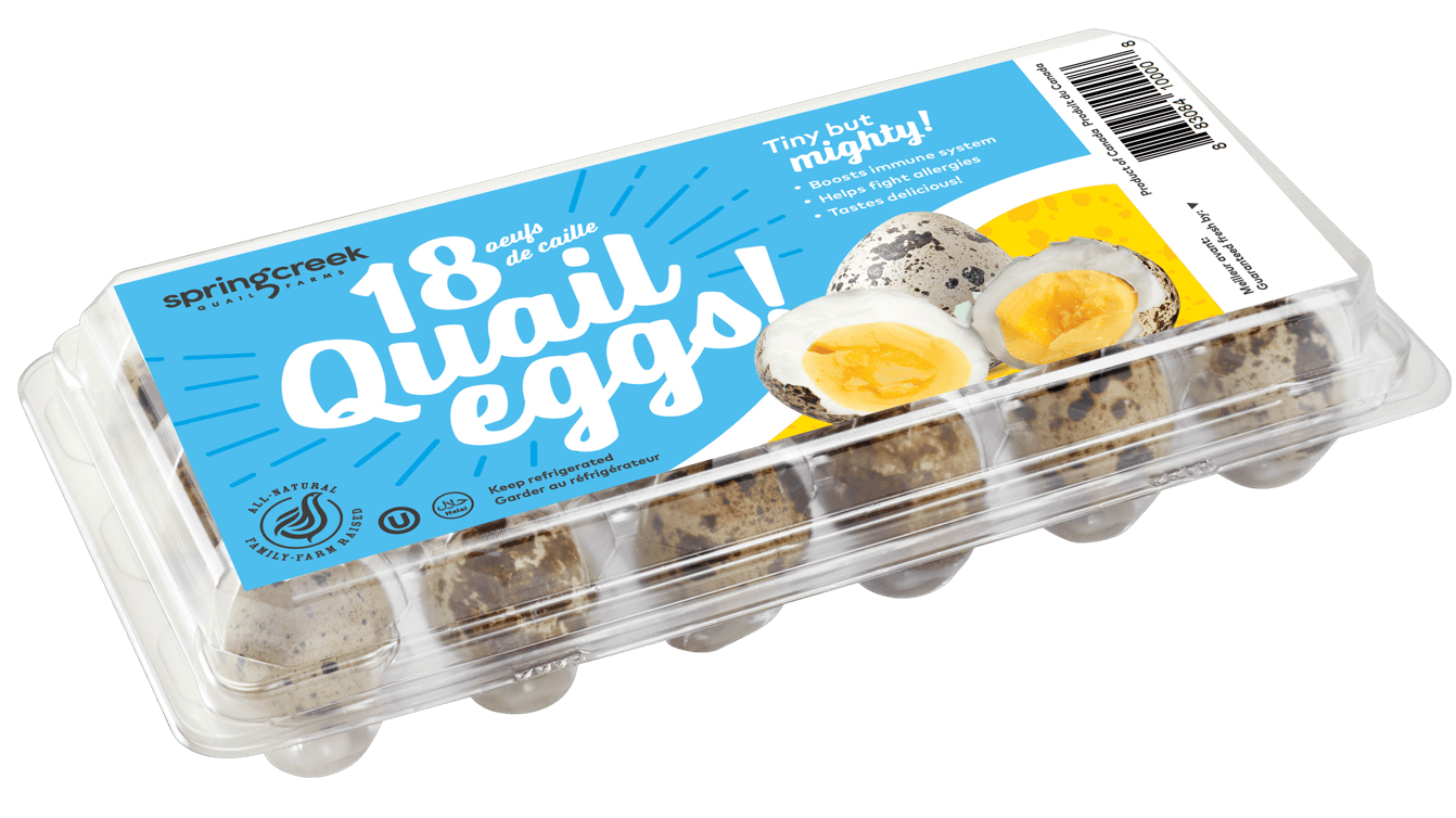 spring-creek-quail-eggs