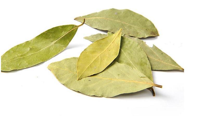 bay-leaf