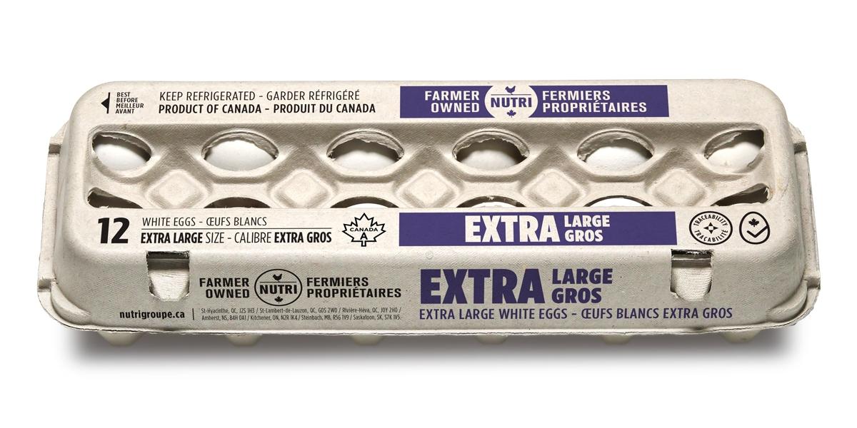 whte-eggs-l-12pcs