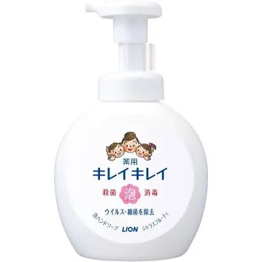 lion-medicinal-foam-hand-soap