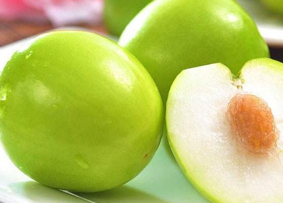 fresh-green-jujube