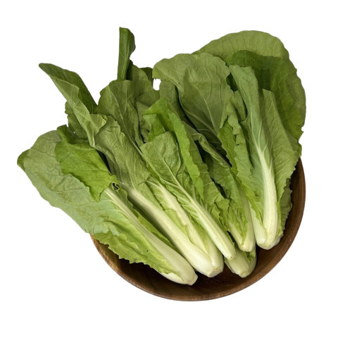 baby-choy-jr