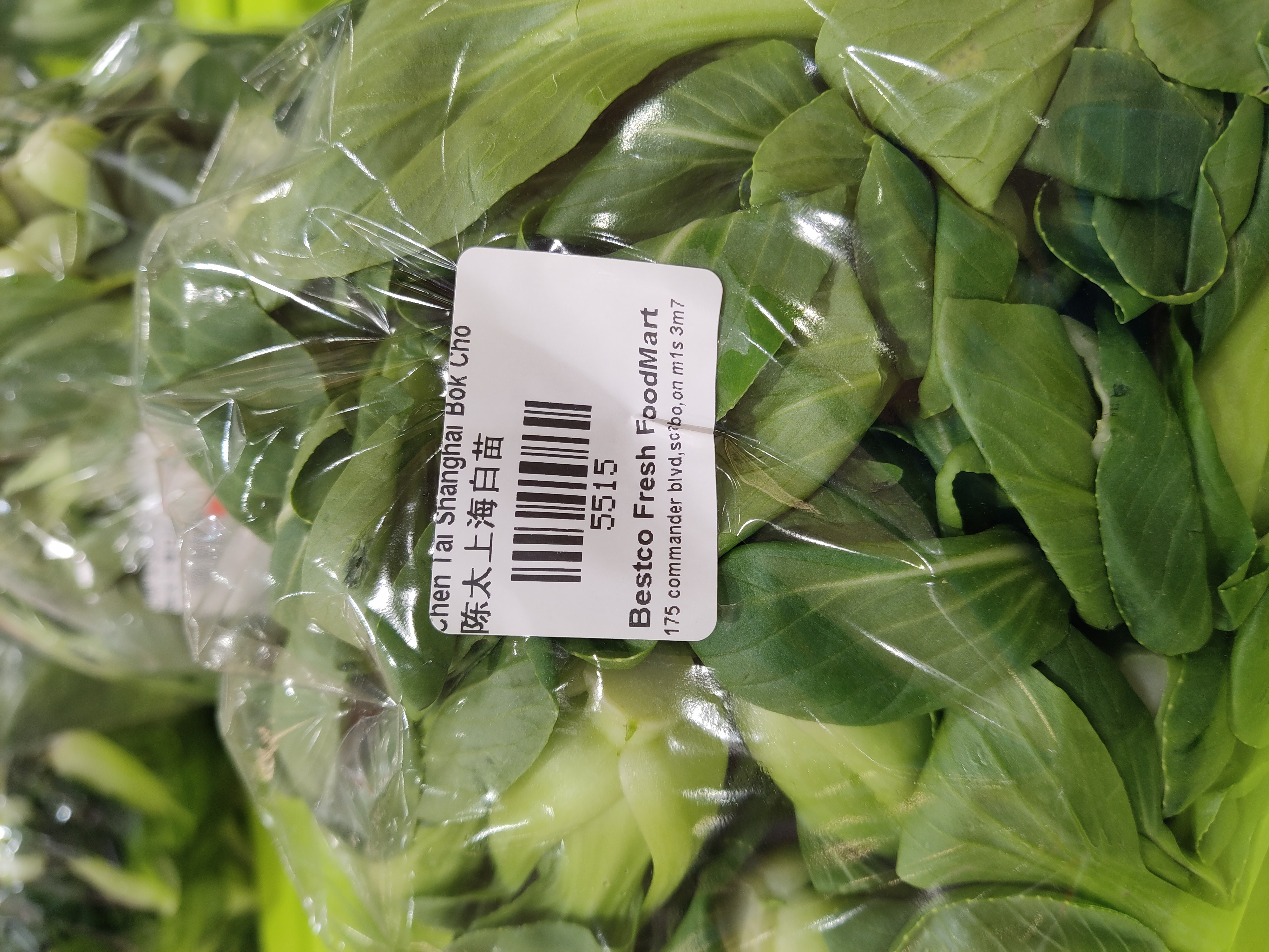 chen-tai-shanghai-bok-choyjr