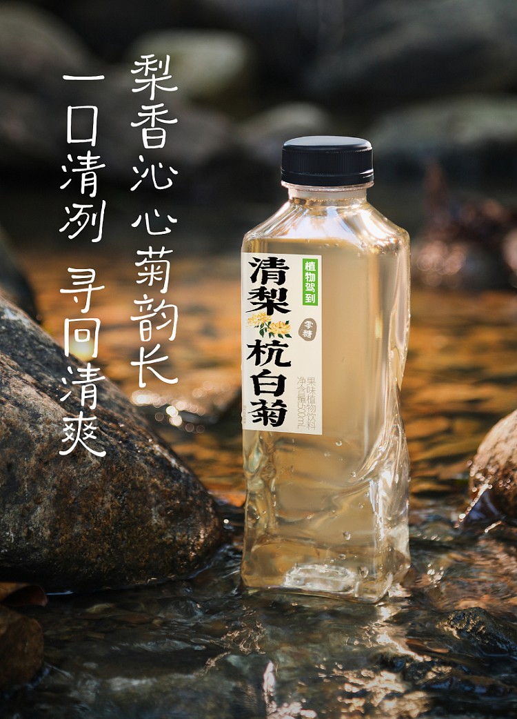 zwjd-plant-beverage-pure-pear-chrysanthemum-flavour