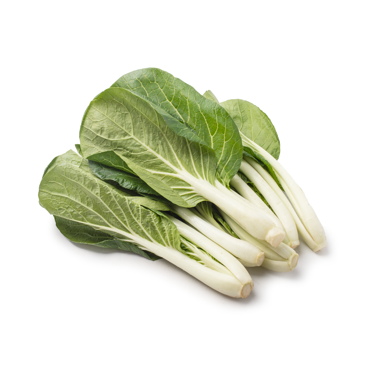 chen-tai-baby-bok-choy