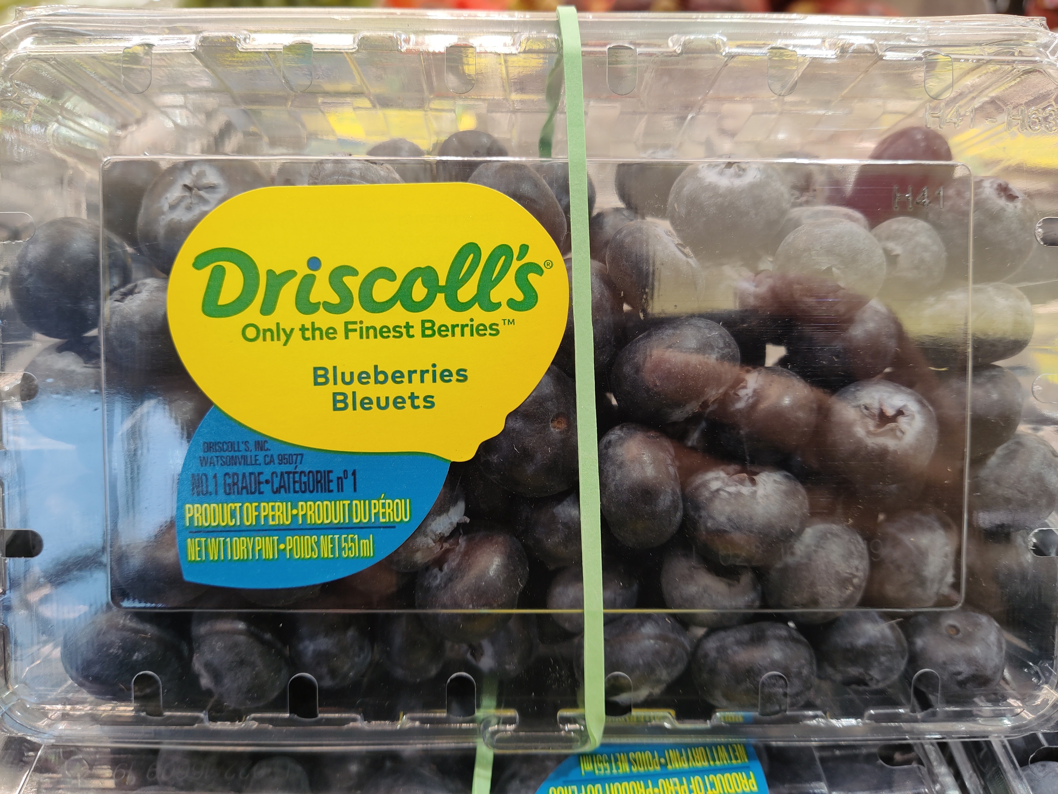 driscolls-blueberry