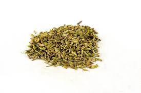 merlin-fennel-seed