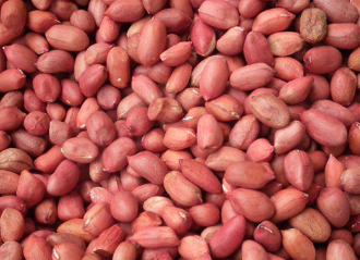 loose-red-skin-peanut