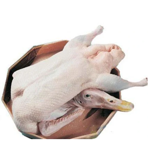 fresh-duck