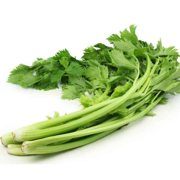 fresh-chinese-celery-bunch