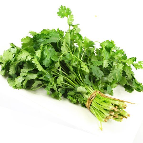 fresh-coriander-cilantro-bunch