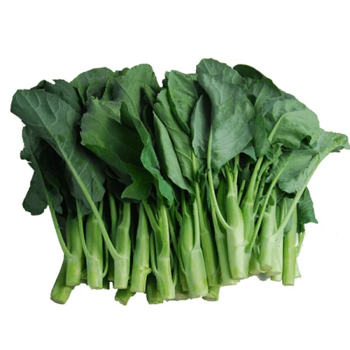 fresh-chinese-broccoli-bag