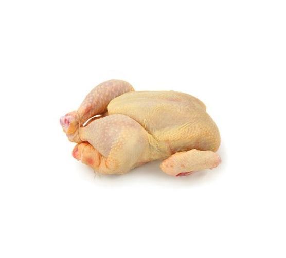 free-run-chicken-pack