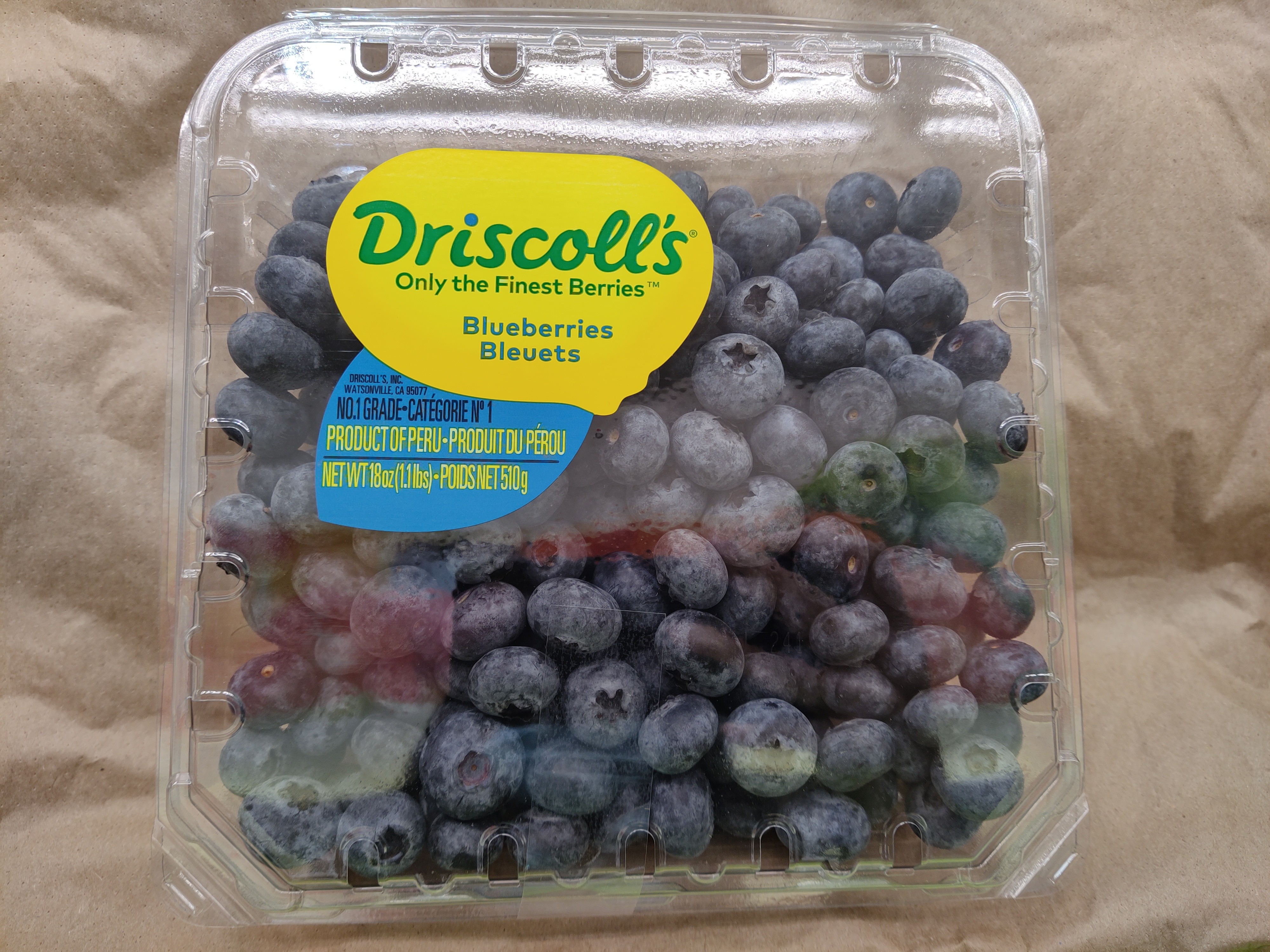 driscolls-blueberry