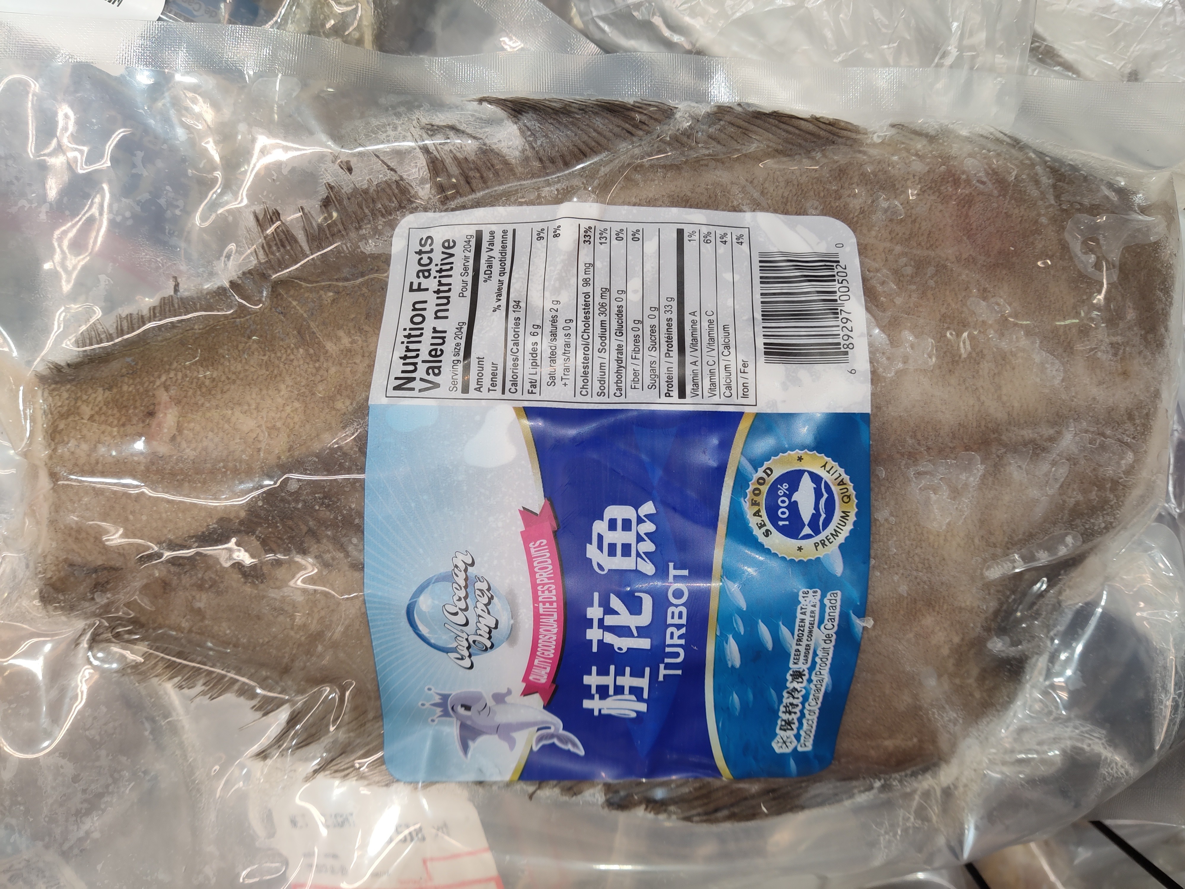 cool-ocean-frozen-turbot