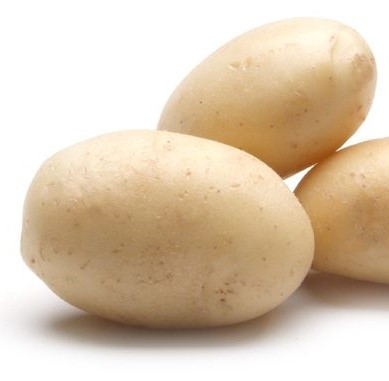 white-potato